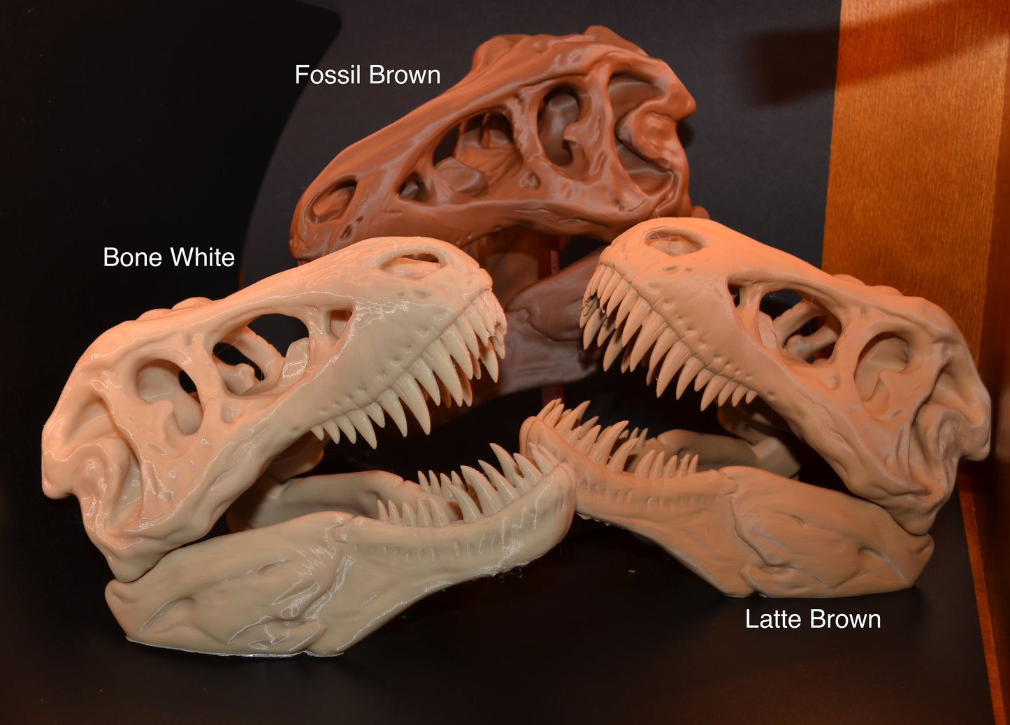 Tyrannosaurus Rex - T. rex Dinosaur Skull by Makerbot