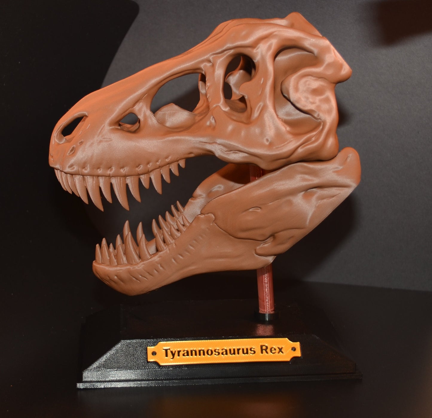 Tyrannosaurus Rex - T. rex Dinosaur Skull by Makerbot